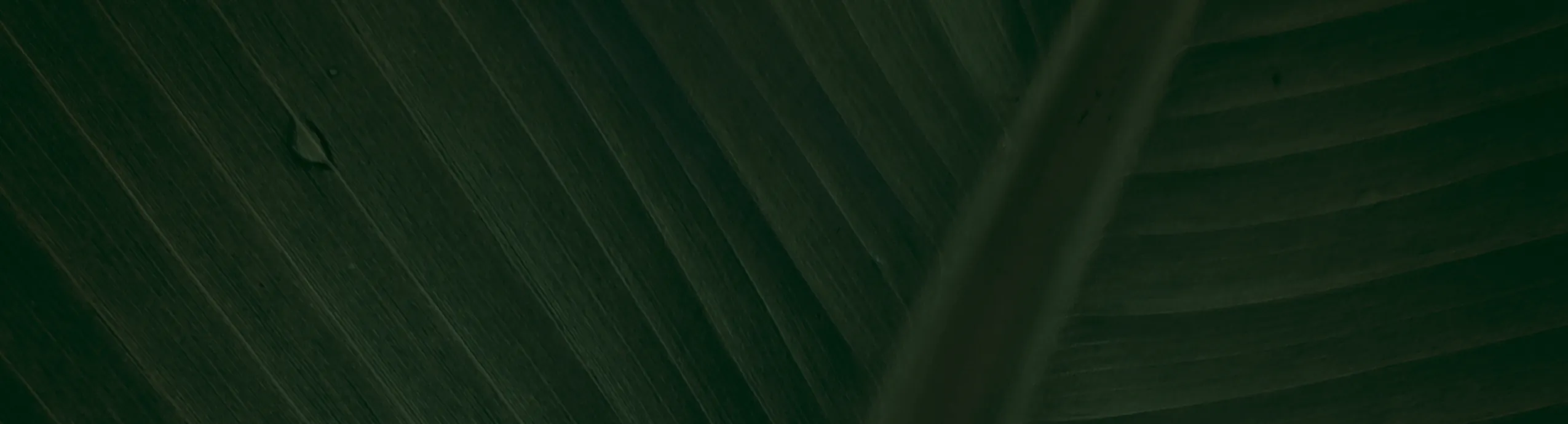 La Collection D`antiqquites Car 1886, PerfumeUnisex, Eau de Parfum 20 ml – Lattafa Emarati Niche