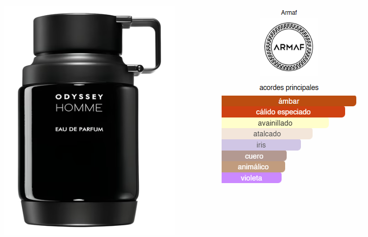 Odyssey Homme, Perfume Para Hombre, EDP 100 ml – Armaf