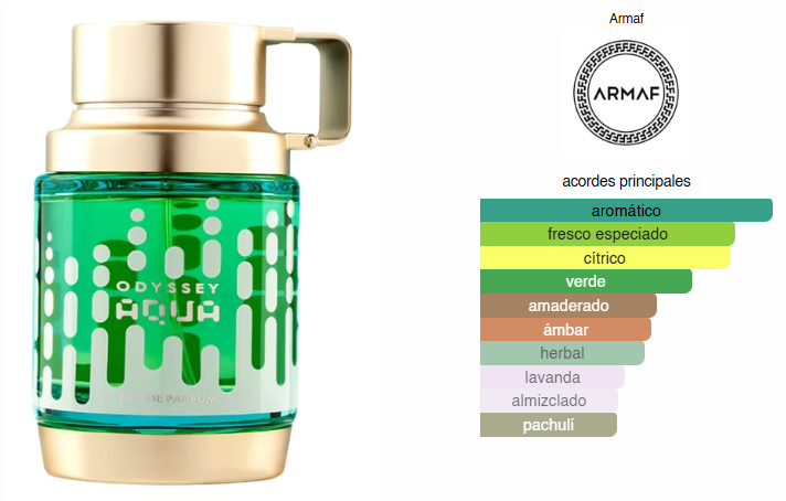 Odyssey Aqua, Perfume Para Hombre, EDP 100ml – Armaf