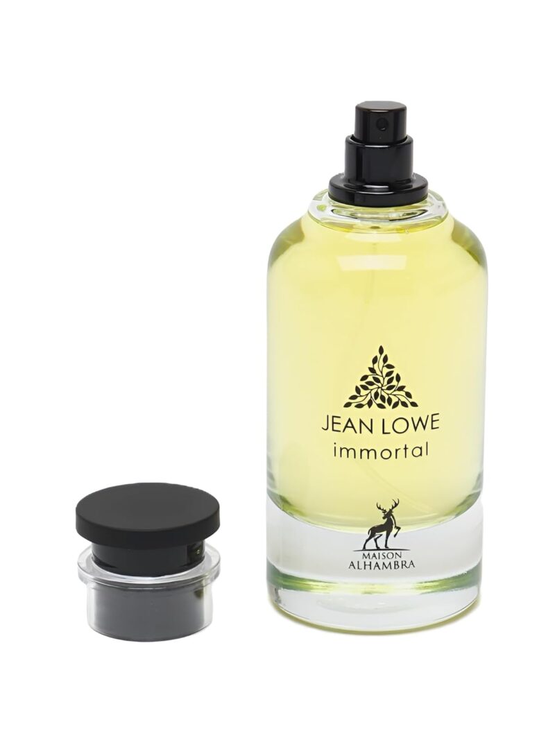 Jean Lowe Immortel, Perfume Para Hombre, EDP 100 ml – Maison Alhambra