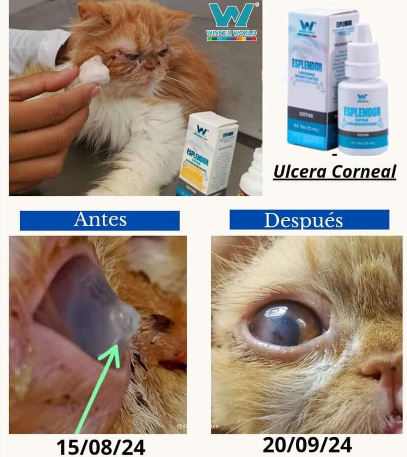 Gotas Esplendor – Lágrimas Humectantes Homeopáticas para el Cuidado Visual