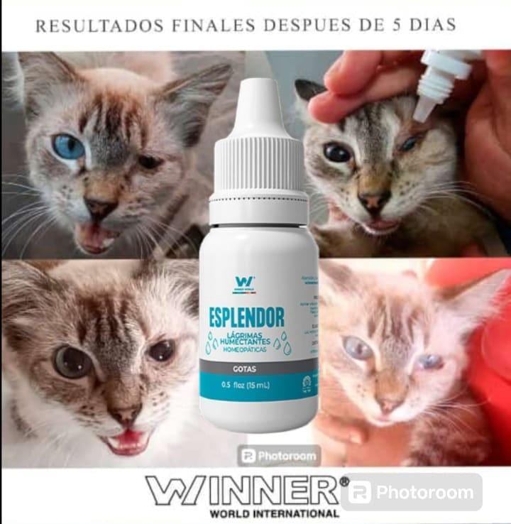 Gotas Esplendor – Lágrimas Humectantes Homeopáticas para el Cuidado Visual